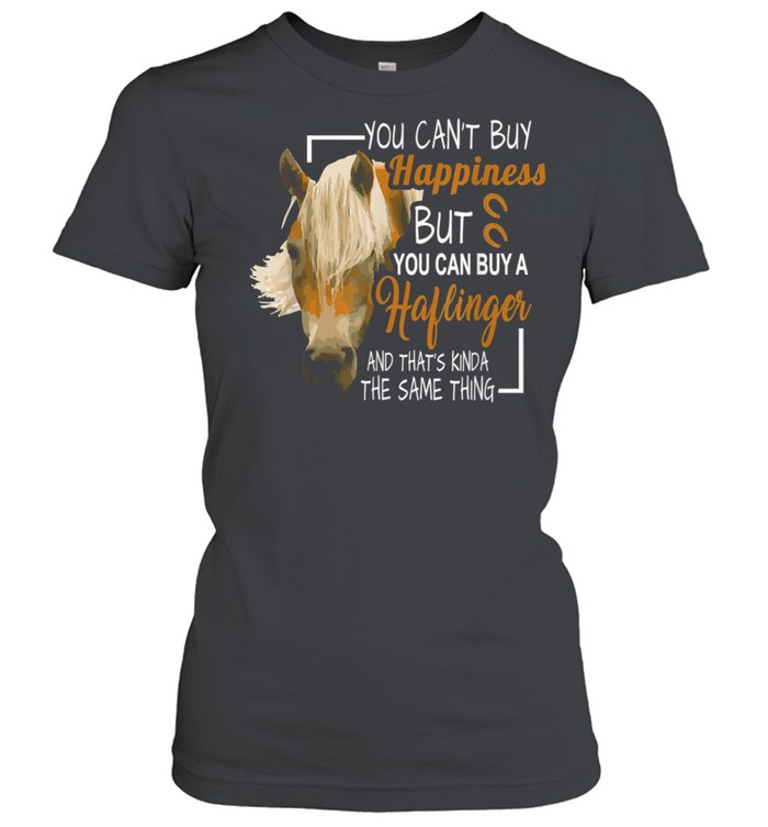 You Can't Buy Happiness But You Can Buy A Haflinger  Classic Women's T-shirt