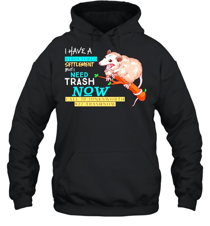 I have a structured settlement but I need trash now shirt Unisex Hoodie