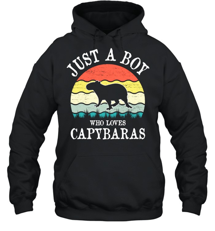 Just A Boy Who Loves Capybaras shirt Unisex Hoodie