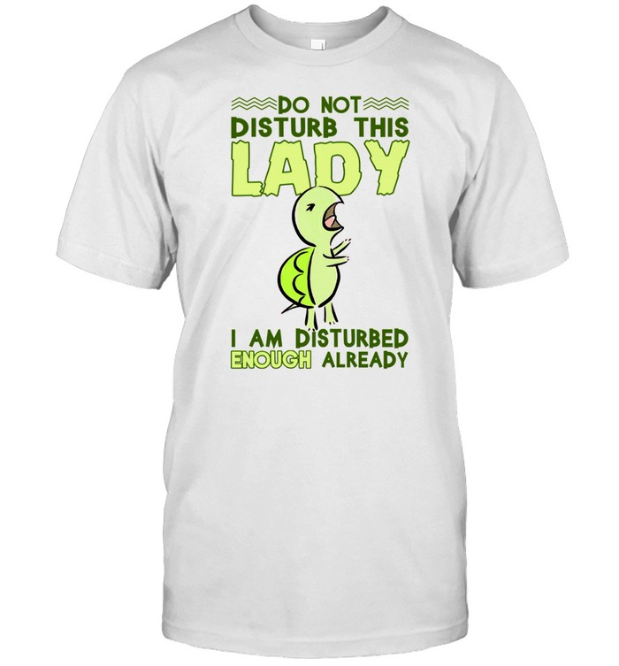 Do Not Disturb This I Am Disturbed Enough Already Shirt