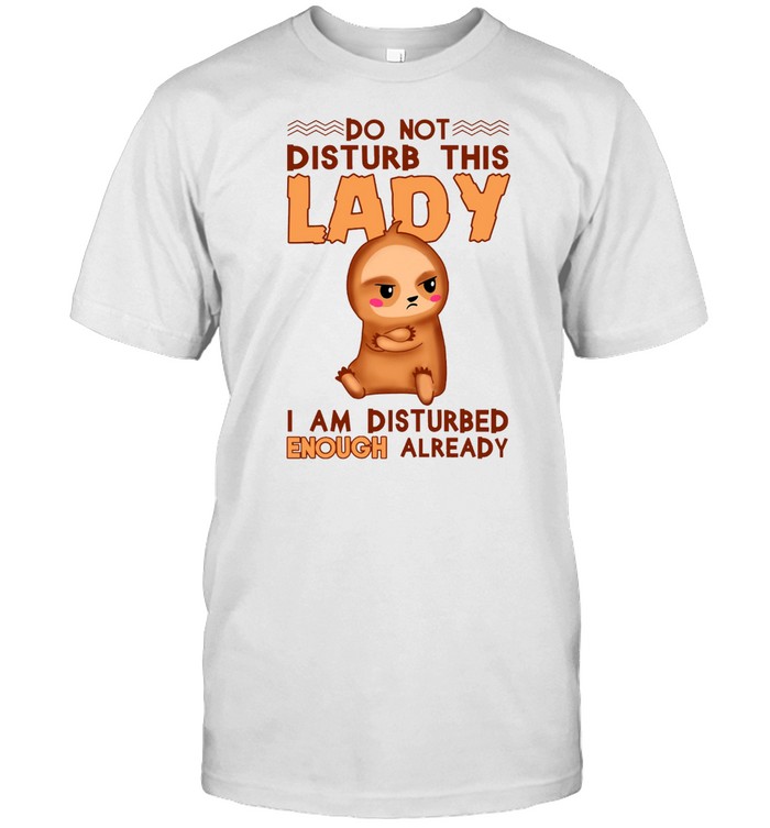 Do not disturb this lady i am disturbed enough already shirt