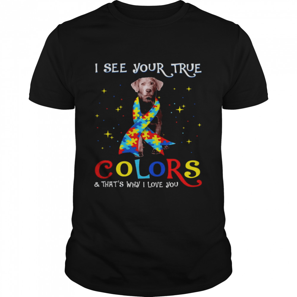 Autism Silver Labrador Dog I See Your True Colors And That’s Why I Love You Shirt