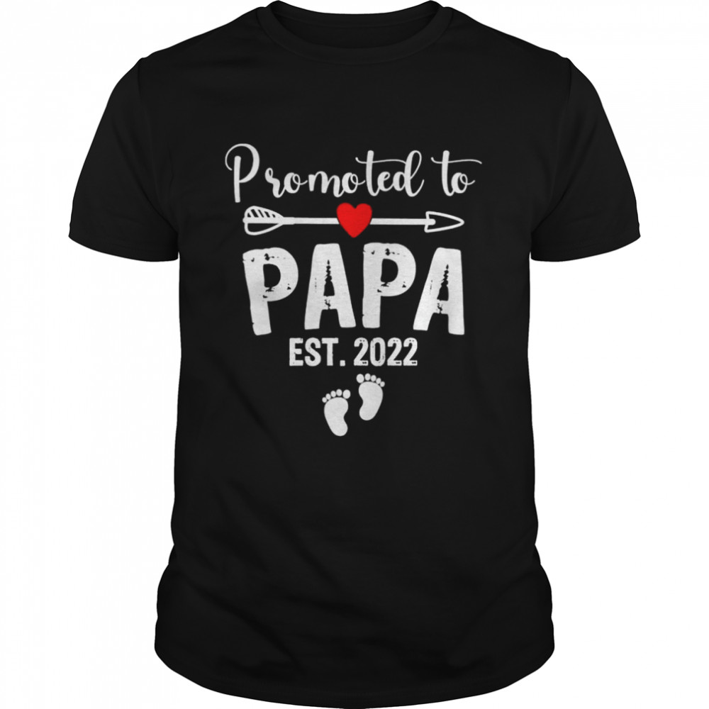 Promoted to papa est 2022 first time papa father’s day shirt