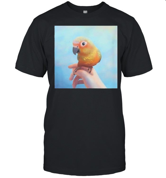 sun conure perching on your hand shirt