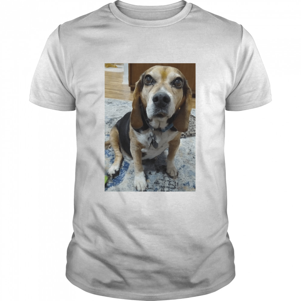 My Baby Beagle Boy Classic T-Shirt