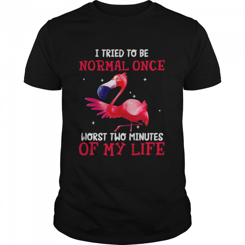 Flamingos I Tried To Be Normal Once Worst Two Minutes Of My Life  Classic Men's T-shirt