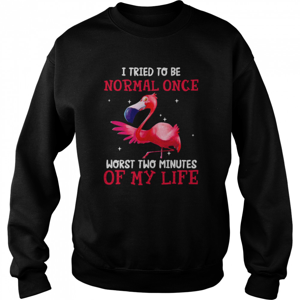 Flamingos I Tried To Be Normal Once Worst Two Minutes Of My Life  Unisex Sweatshirt