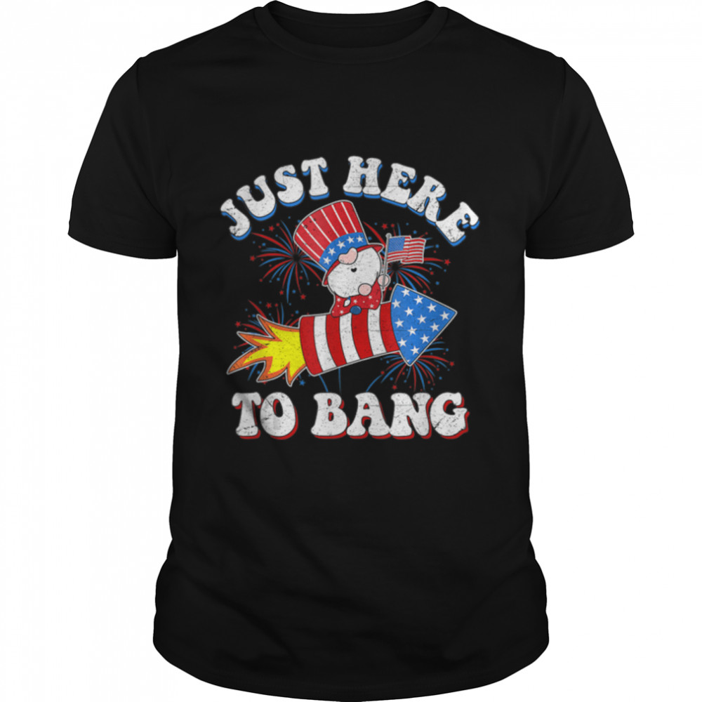 Just Here To Bang Tshirt 4th Of July Gnomes Firework T-Shirt B0B4ZMHZHD