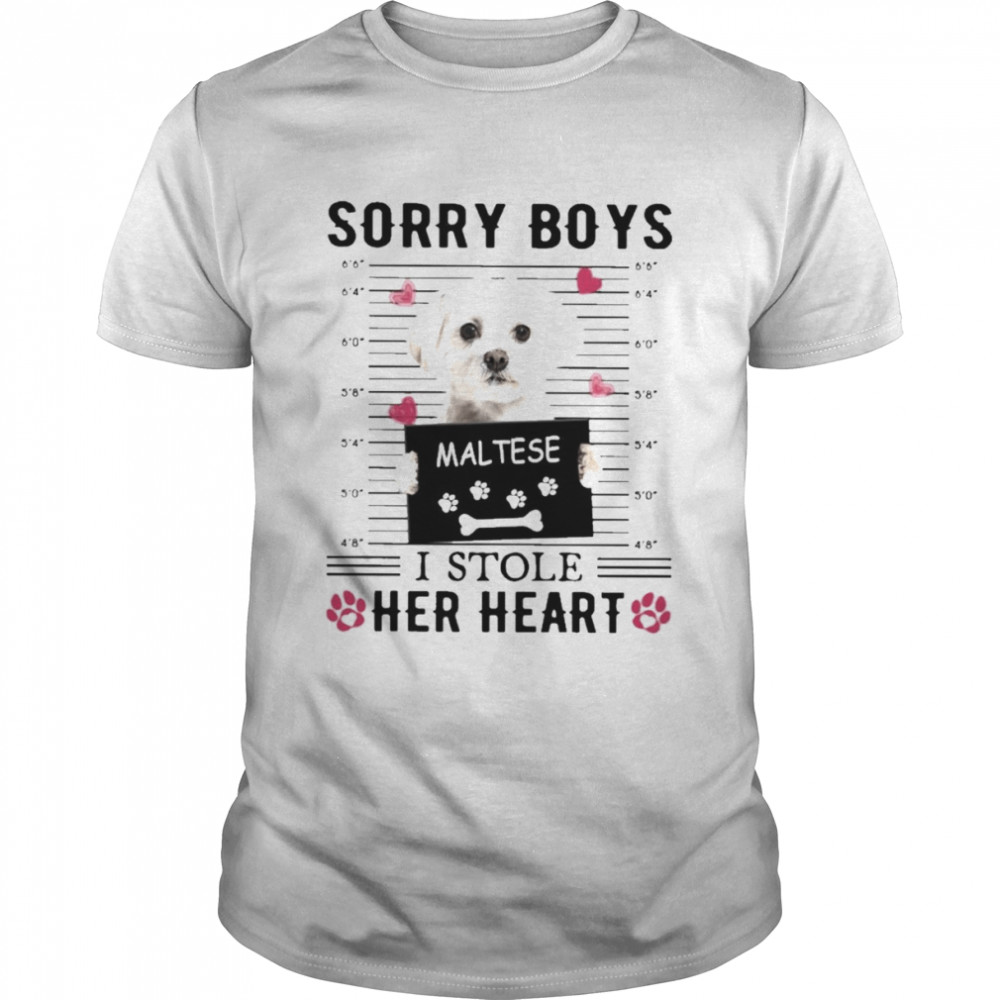 Maltese Sorry Boys I Stole Her Heart Shirt