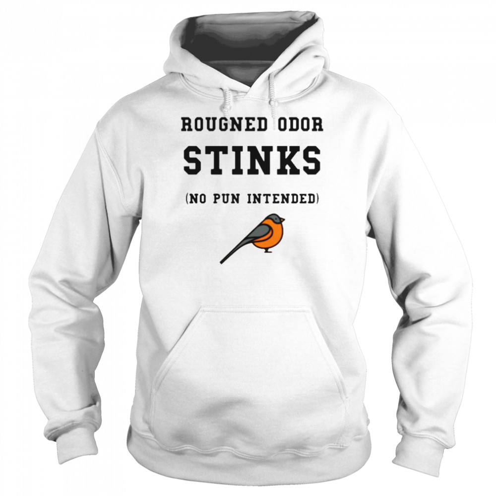Baltimore Orioles Rougned odor stinks no pun intended shirt Unisex Hoodie