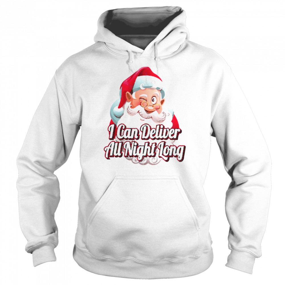 I Can Deliver All Night Long Naughty shirt Unisex Hoodie