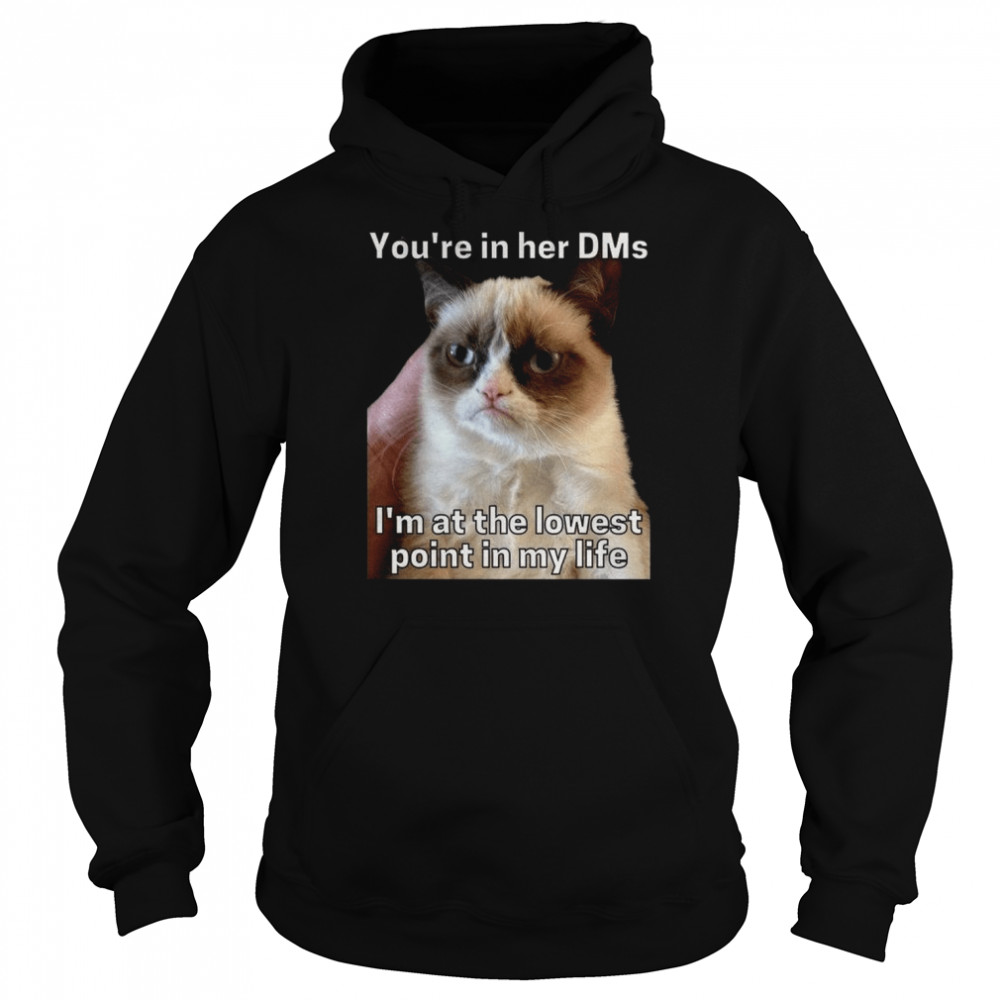 You’re In Her Dms I’m At The Lowest Point In My Life Cat Meme shirt Unisex Hoodie