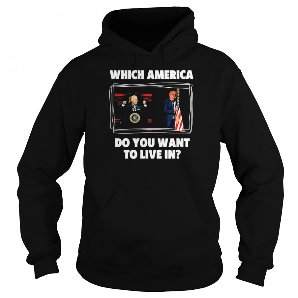 Which America Do You Want to Live in Anti Biden Pro Trump shirt Unisex Hoodie