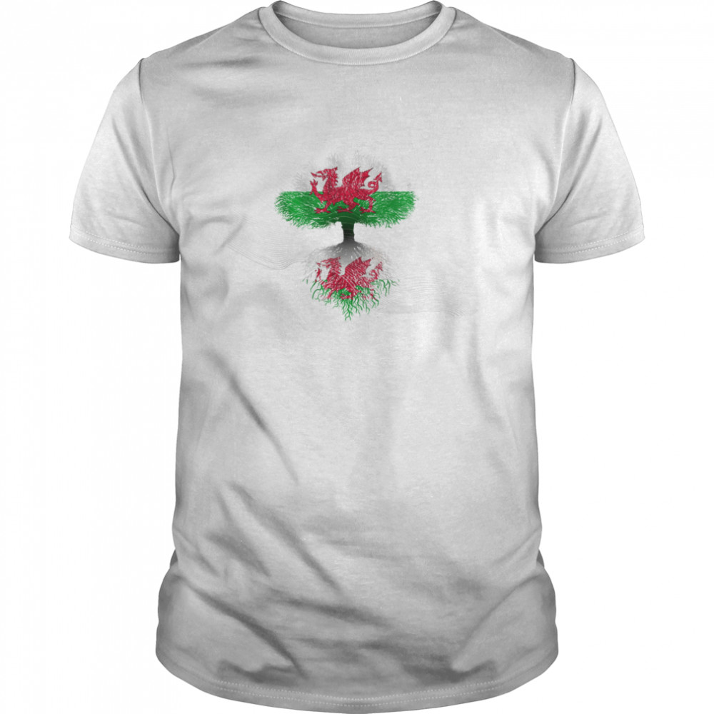 WELSH HERITAGE FLAG MULTI USE TEXTLESS shirt Classic Men's T-shirt