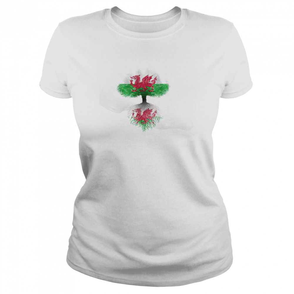 WELSH HERITAGE FLAG MULTI USE TEXTLESS shirt Classic Women's T-shirt