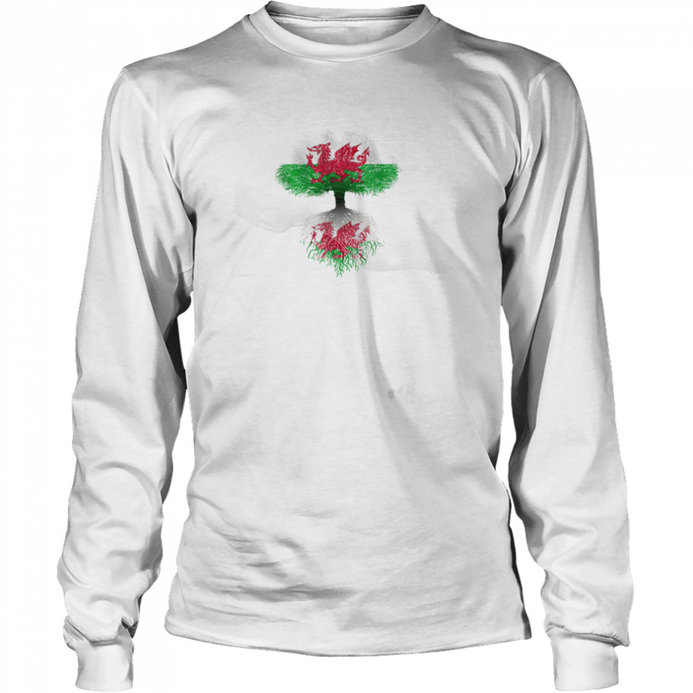 WELSH HERITAGE FLAG MULTI USE TEXTLESS shirt Long Sleeved T-shirt