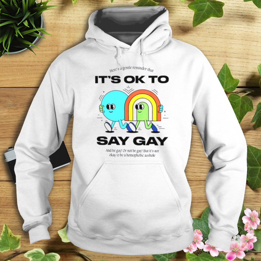LGBTQ Here’s A Gentle Reminder That It’s Ok To Say Gay Shirt 4 Hoodie shirt