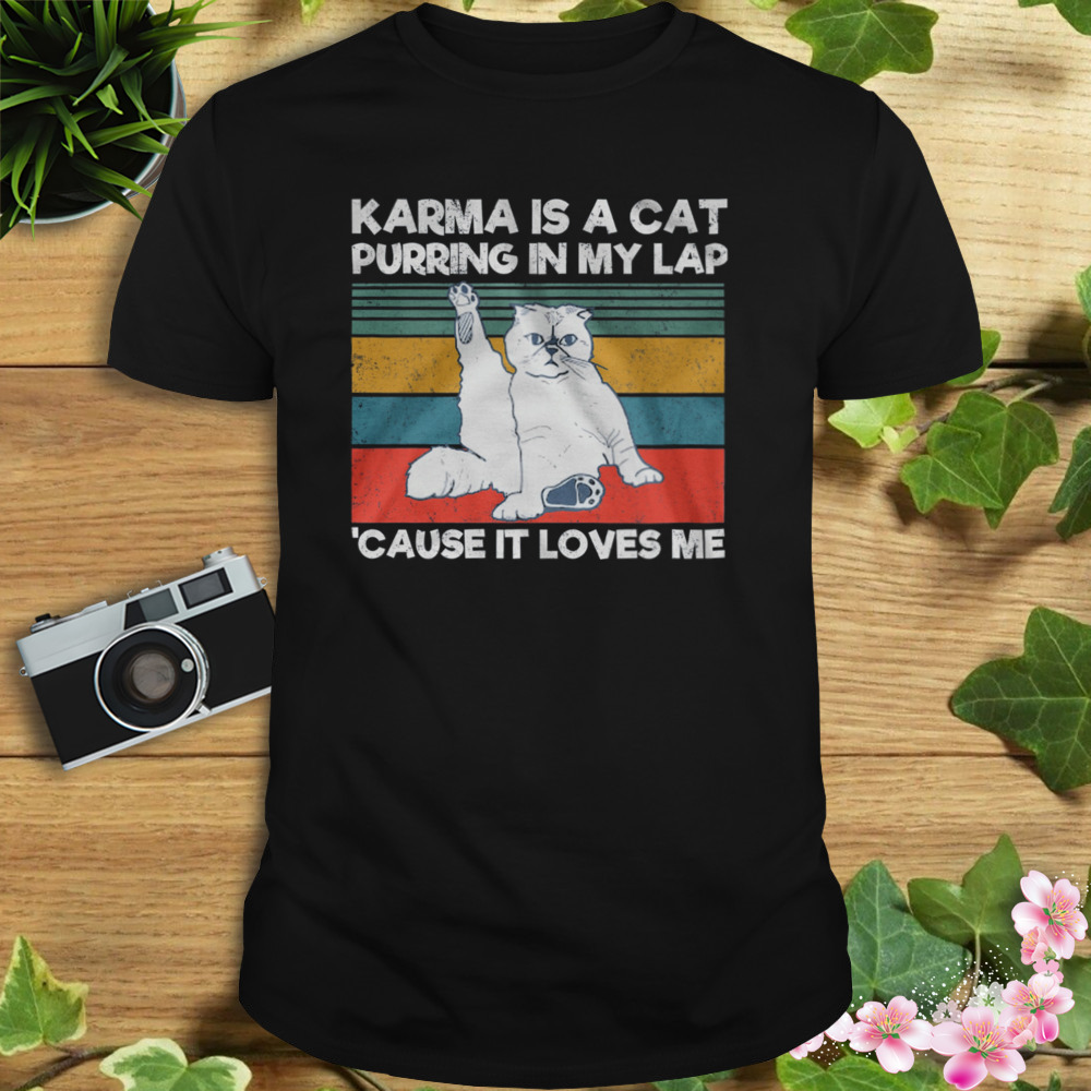 Cat Karma Is A Cat Purring In My Lap Cause It Loves Me Vintage Retro Shirt