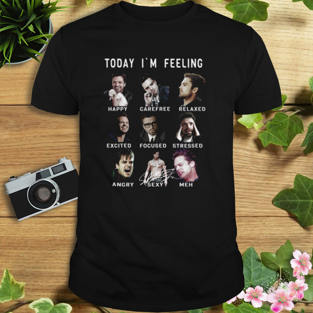 Sebastian Stan Funny Feelings Bucky Barnes Marvel shirt