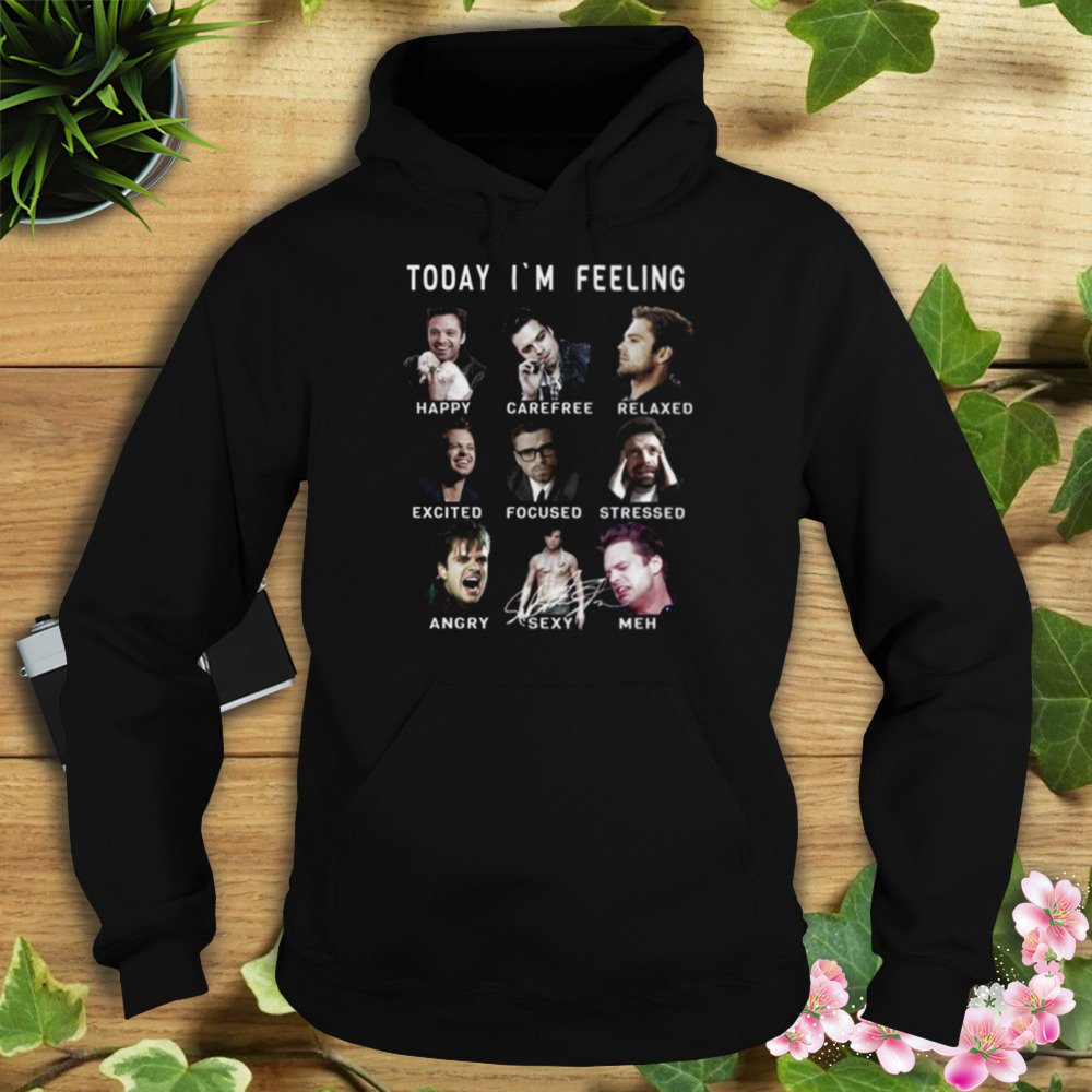 Sebastian Stan Funny Feelings Bucky Barnes Marvel shirt 4 Hoodie tshirt