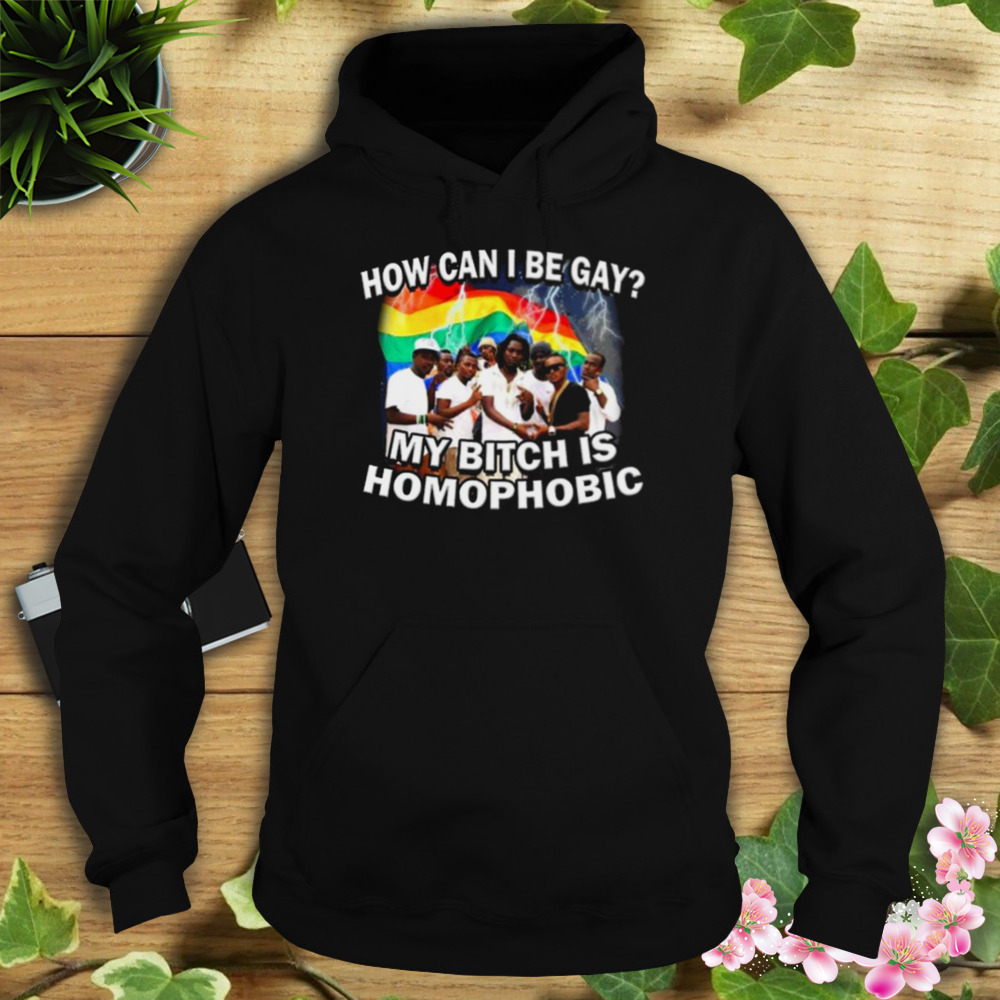 How Can I Be Gay My Bitch Is Homophobic Shirt 4 Hoodie tshirt