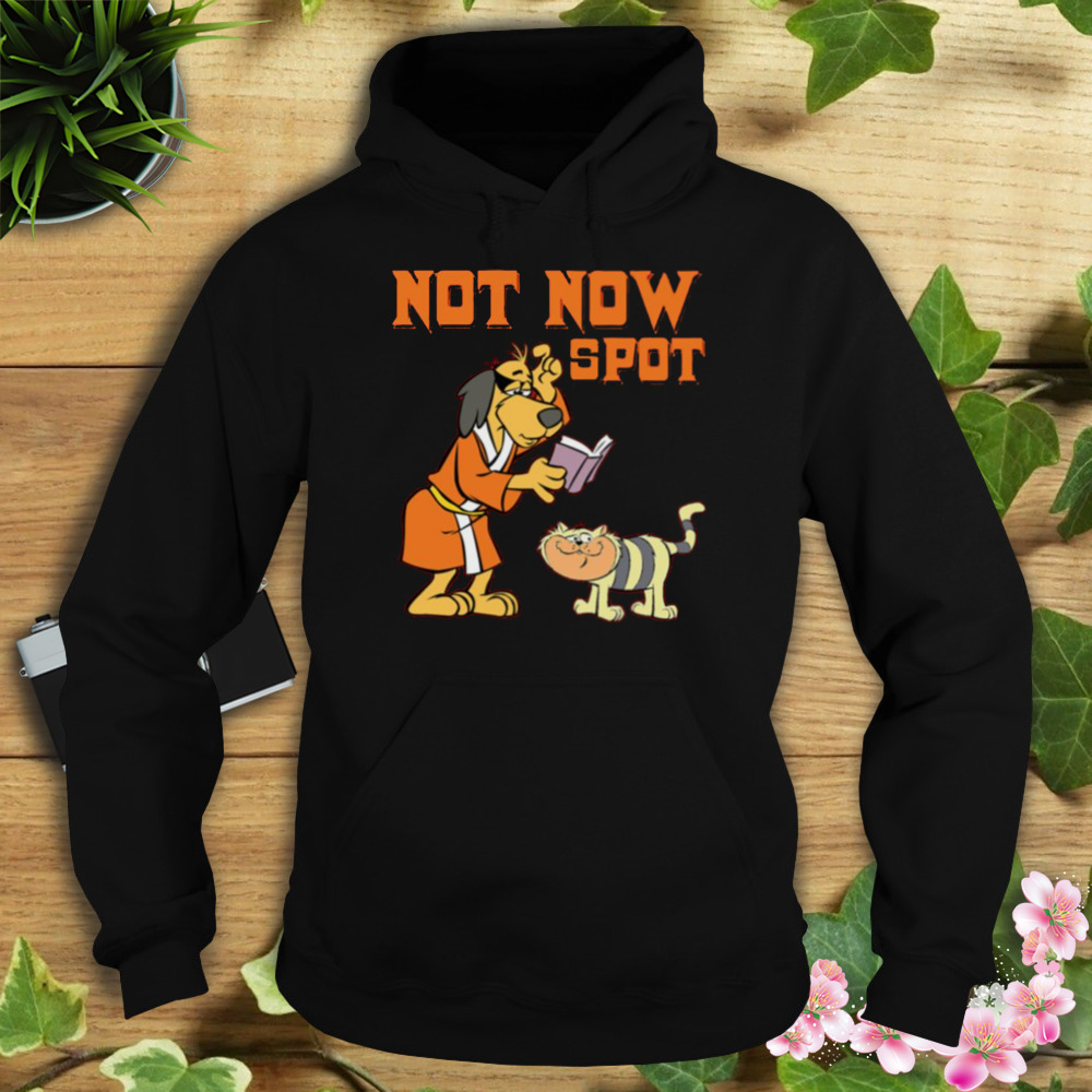 Not Now Spot Hong Kong Phooey shirt 4 Hoodie tshirt