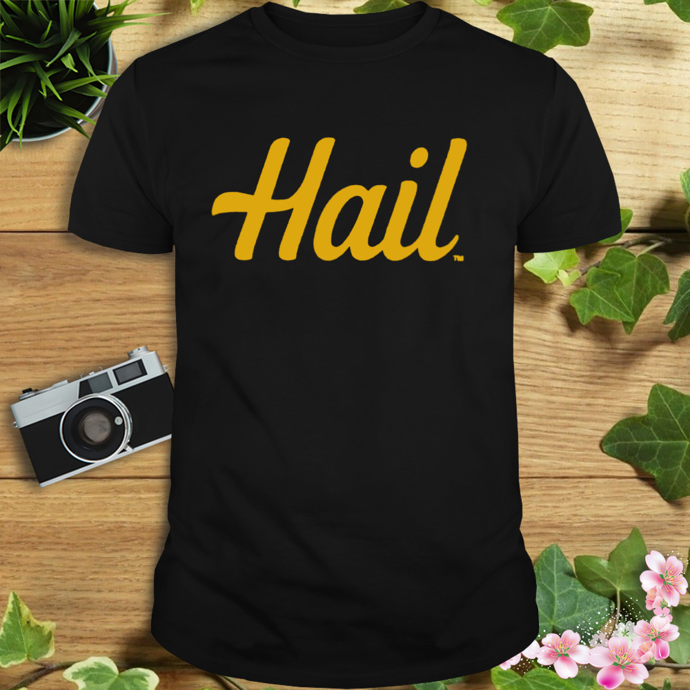 Michigan Hail T-shirt