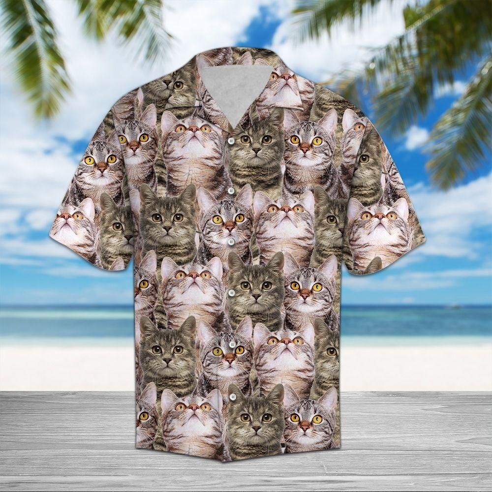 European Shorthair Aloha Hawaiian Shirt Colorful Short Sleeve Summer Beach Casual Shirt For Men And Women