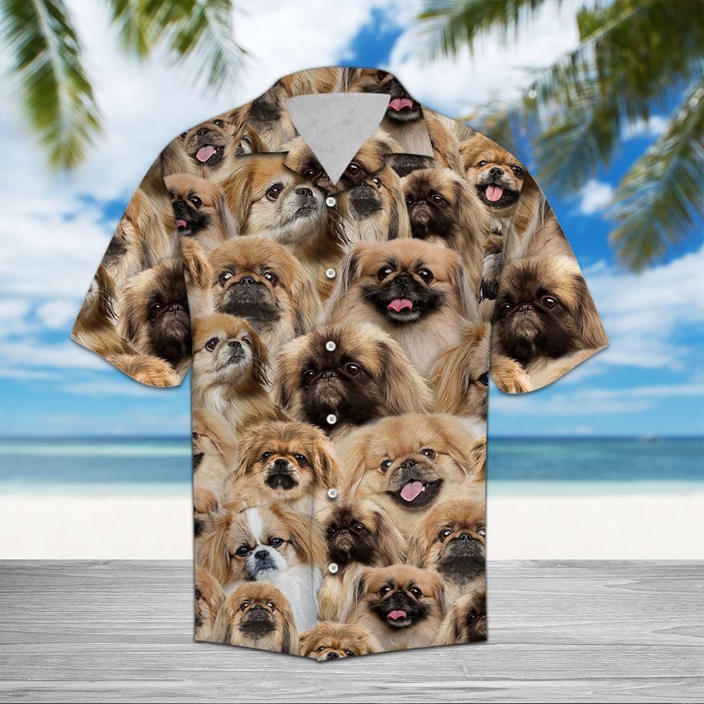 Pekingese Aloha Hawaiian Shirt Colorful Short Sleeve Summer Beach Casual Shirt For Men And Women