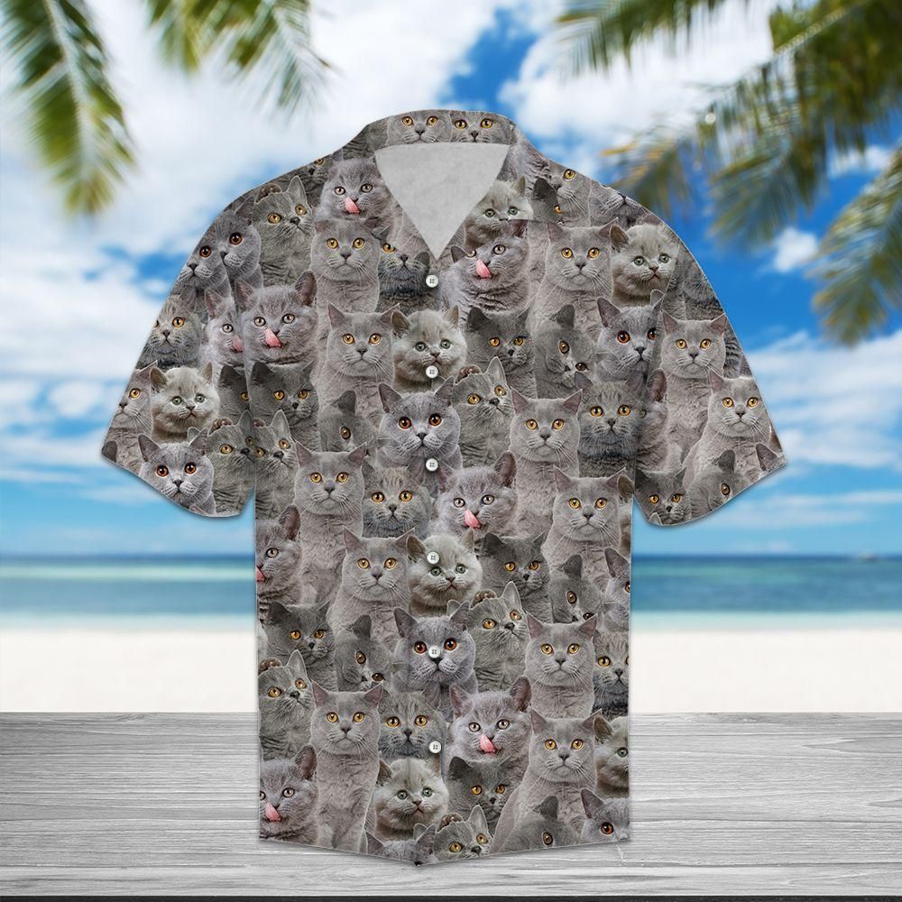 British Shorthair Aloha Hawaiian Shirt Colorful Short Sleeve Summer Beach Casual Shirt For Men And Women