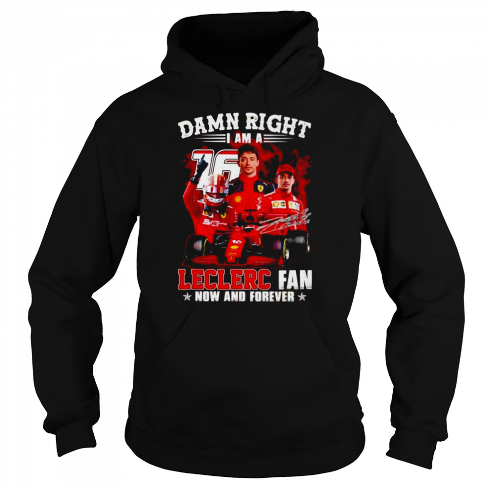Hoodie shirts