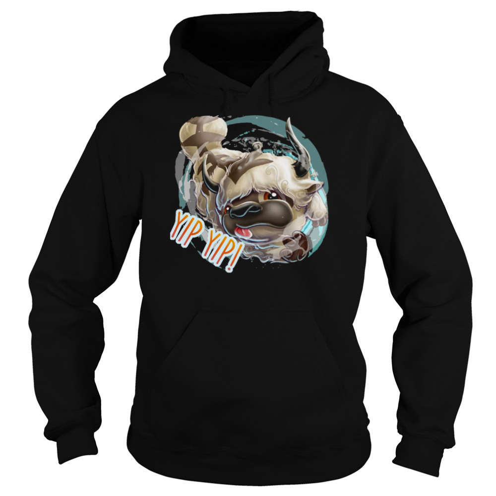 Hoodie shirts