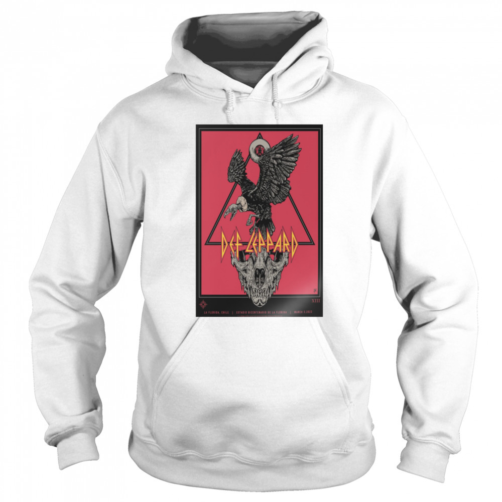Hoodie shirt