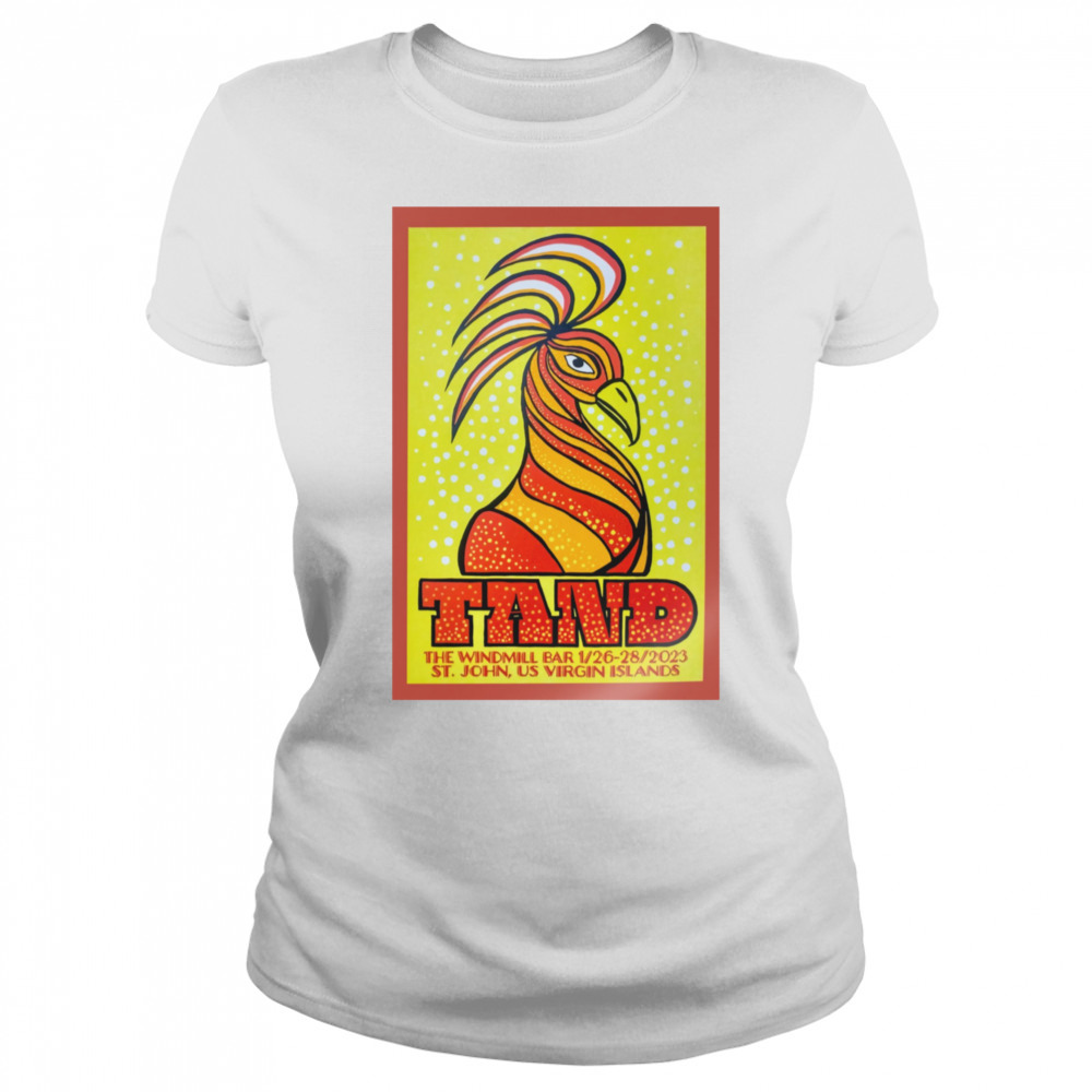 Women's shirt