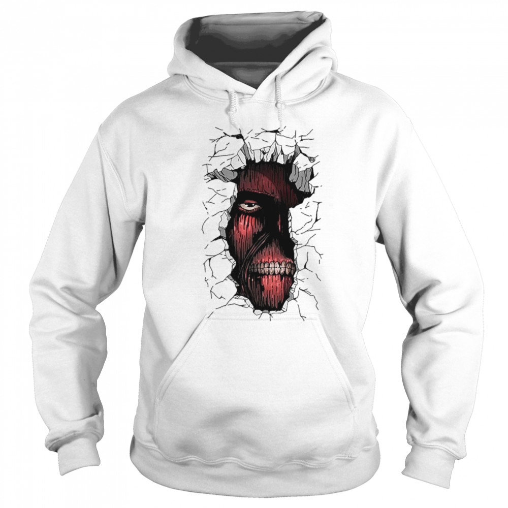 Hoodie shirt