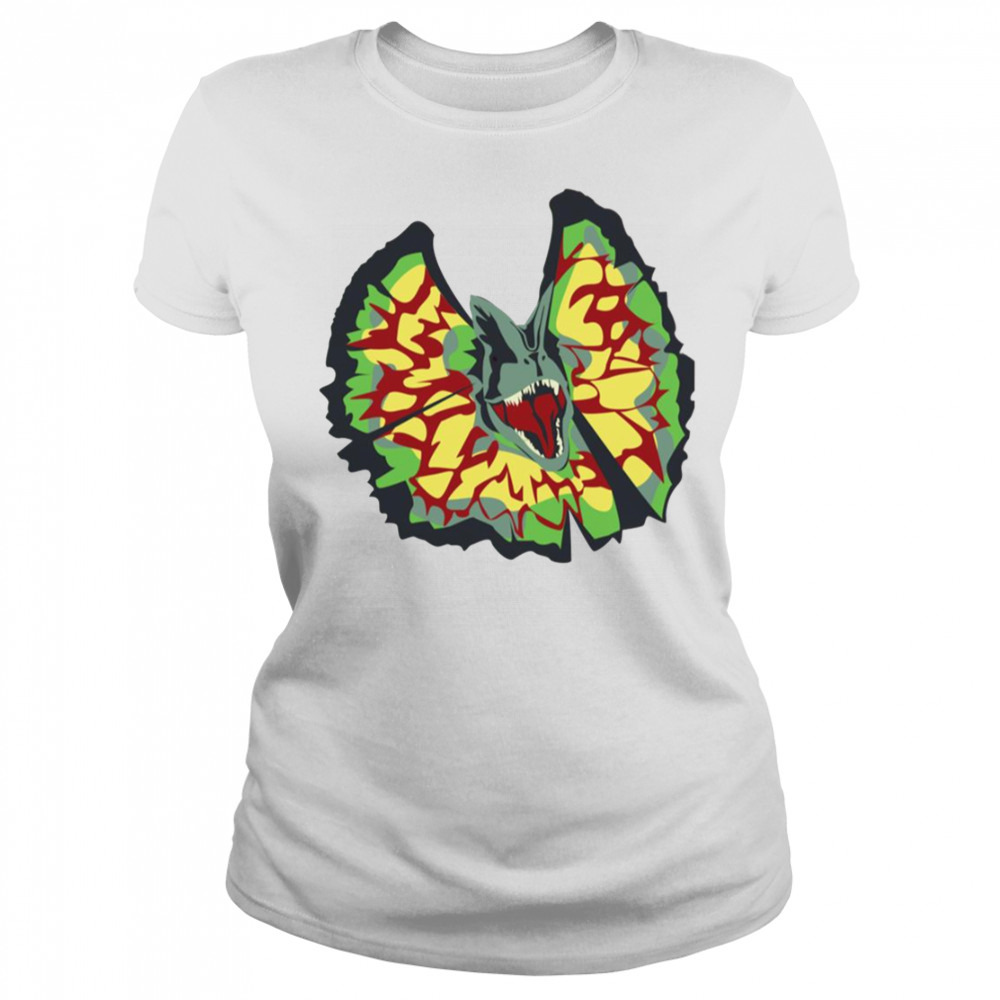 Women's shirt