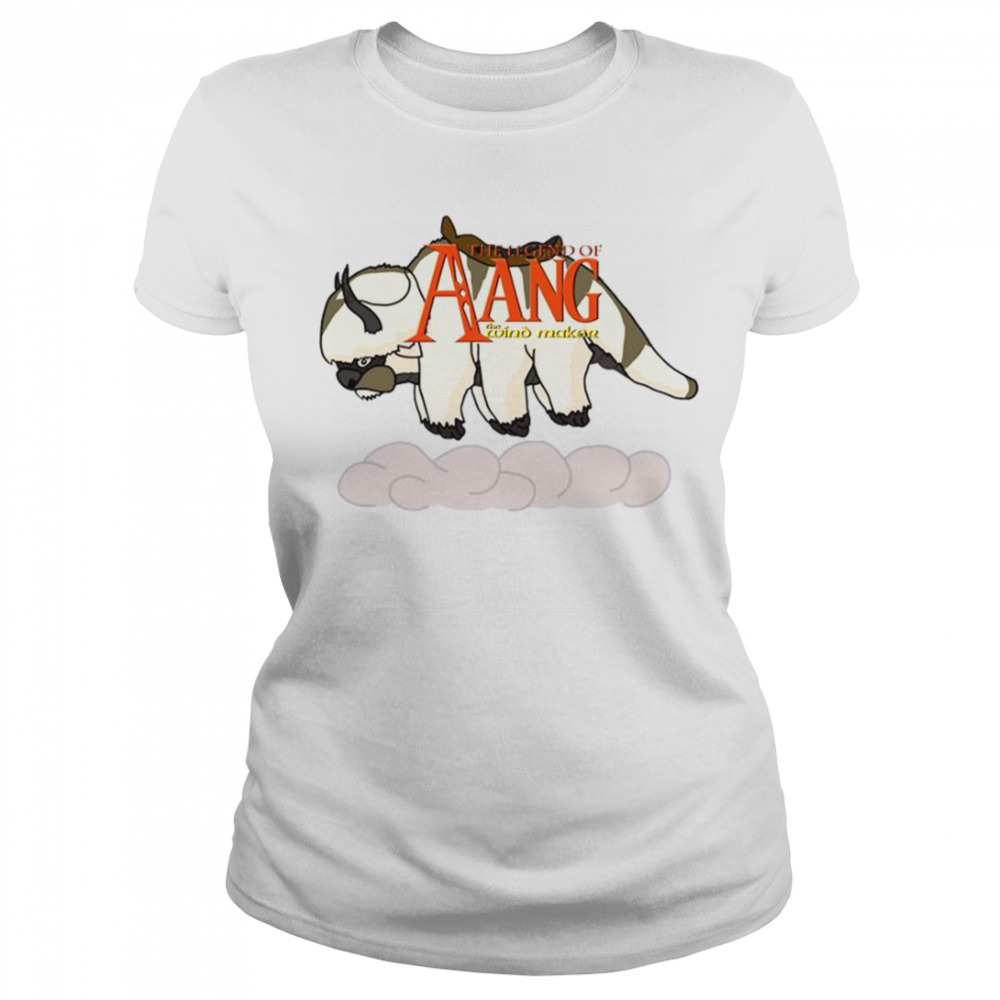 Women's shirt