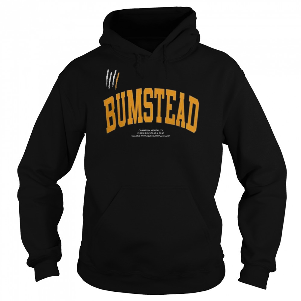 Hoodie shirts