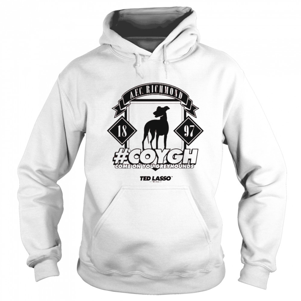 Hoodie shirt