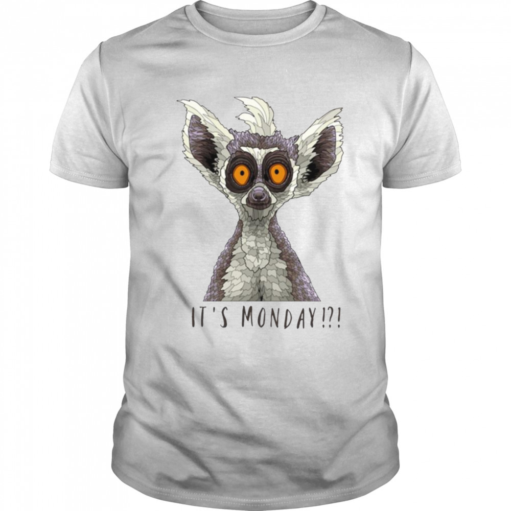 It’s Monday Zoboomafoo shirt