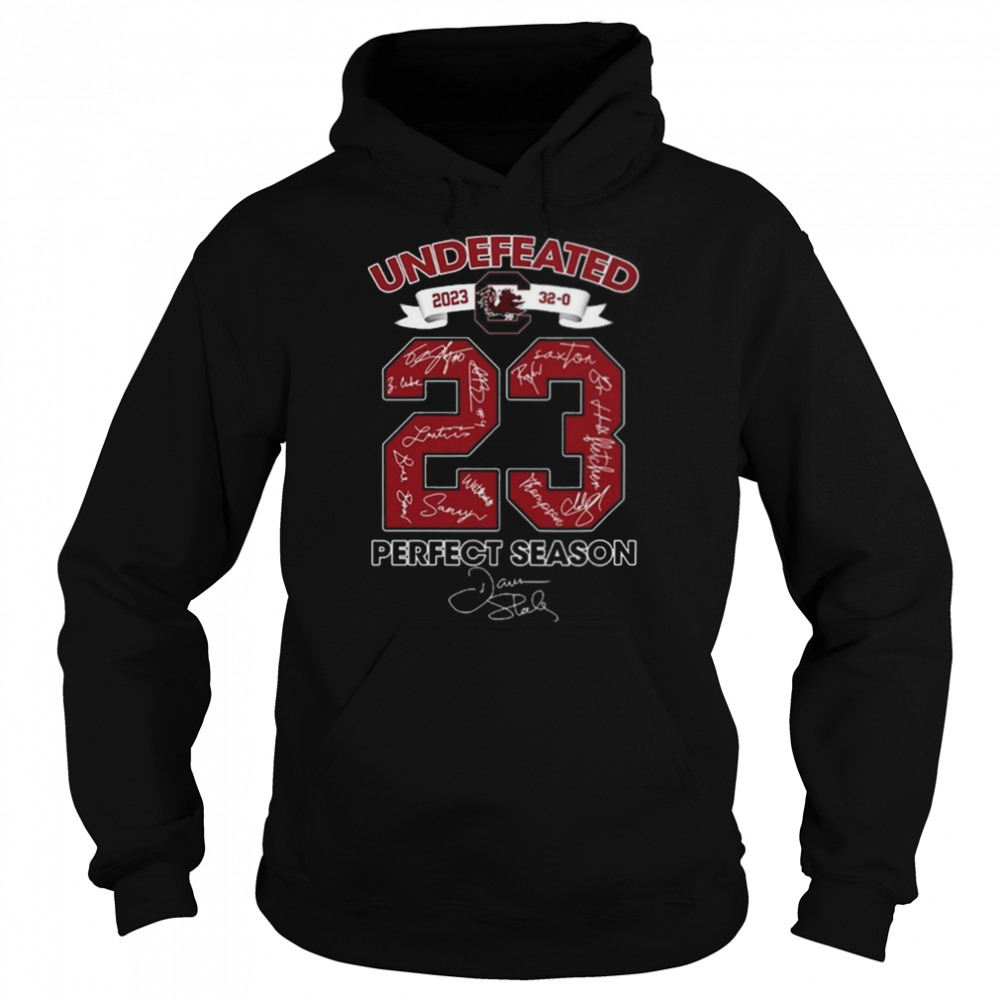Hoodie shirts