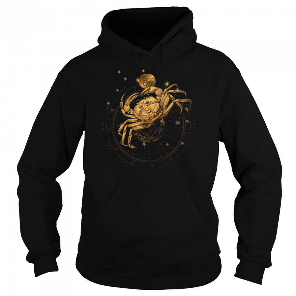 Hoodie shirts