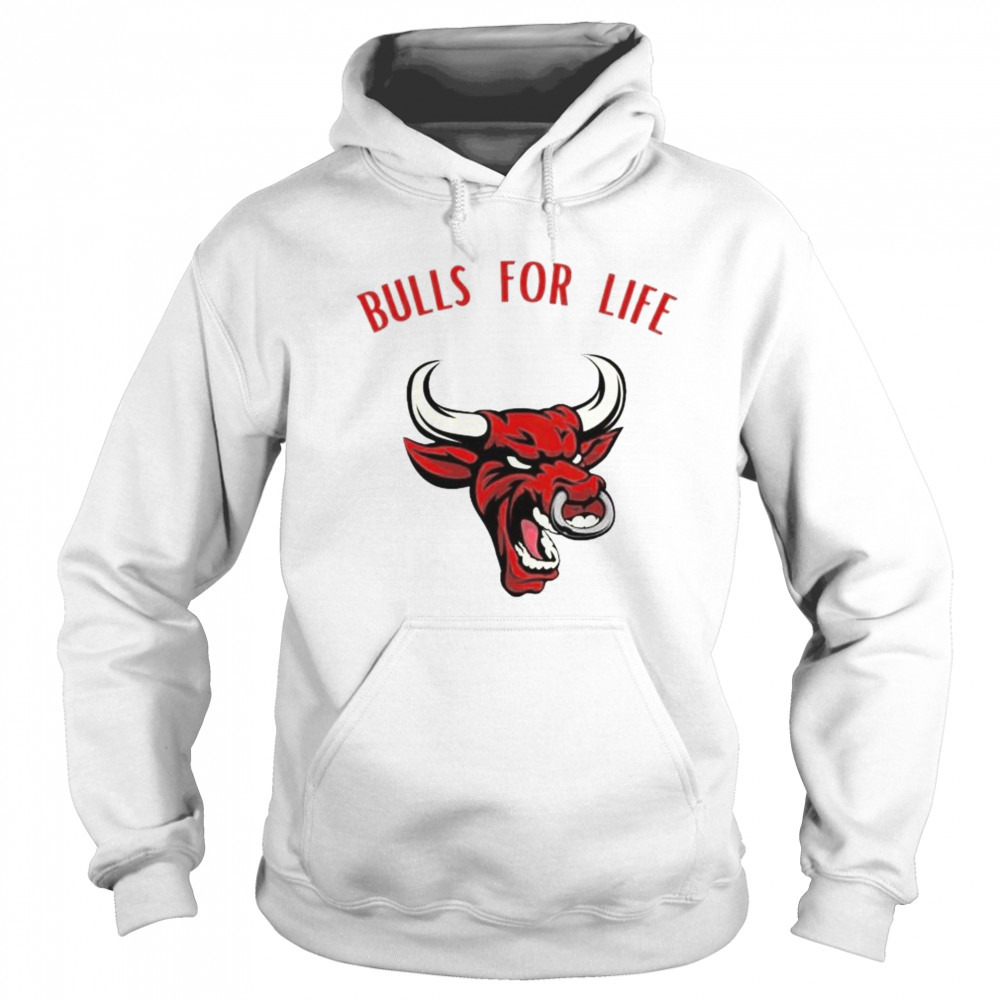Hoodie shirt
