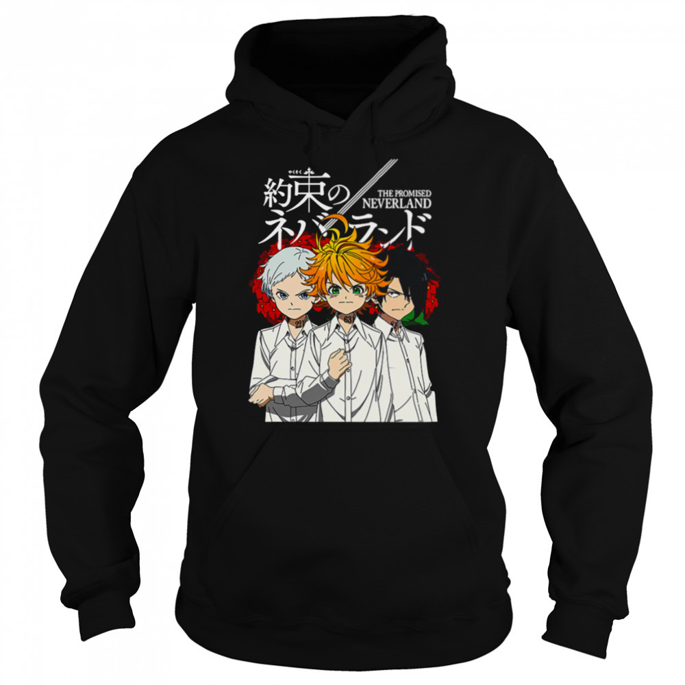 Hoodie shirts
