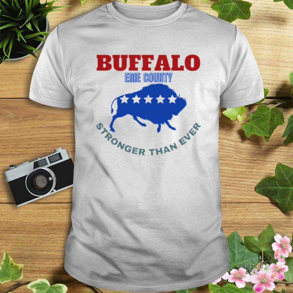 Troubleart Buffalo Usa Blizzard Of The Century shirt