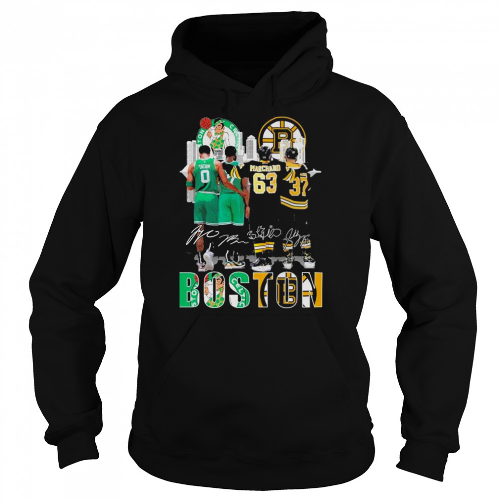 Hoodie shirts