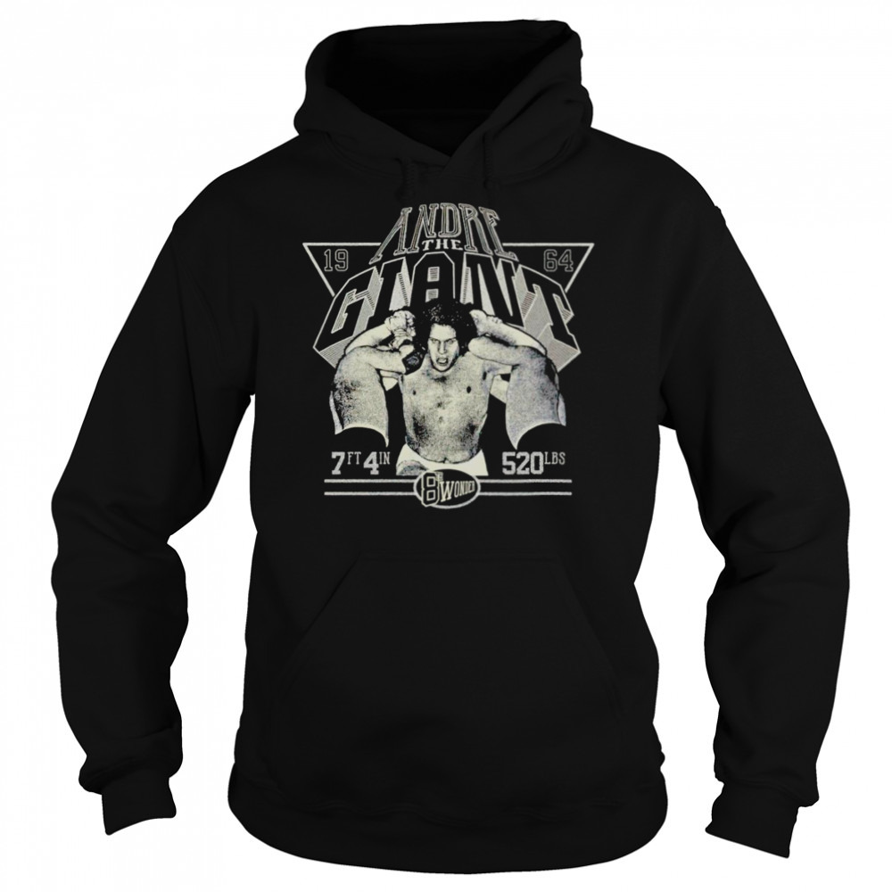 Hoodie shirts