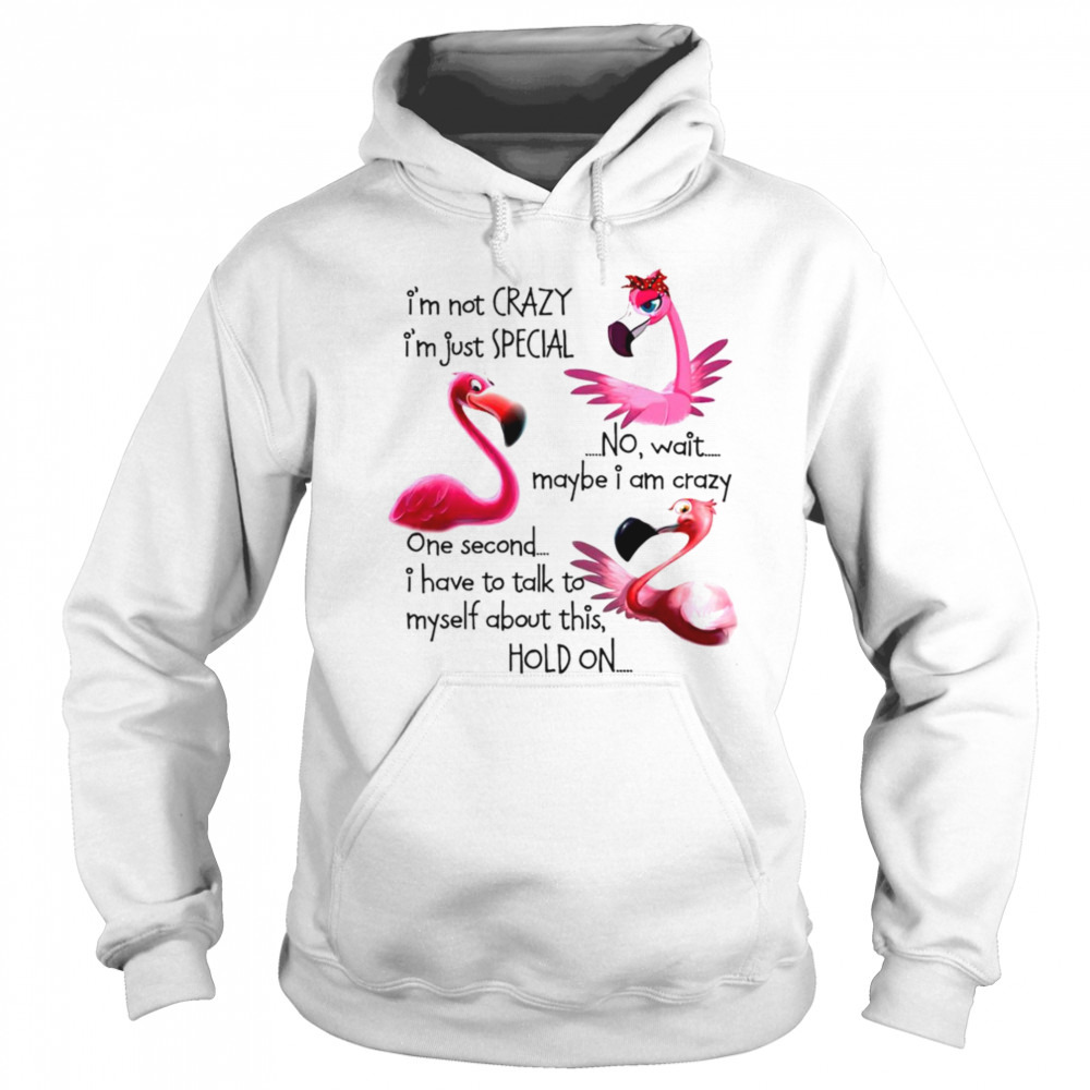Hoodie shirt