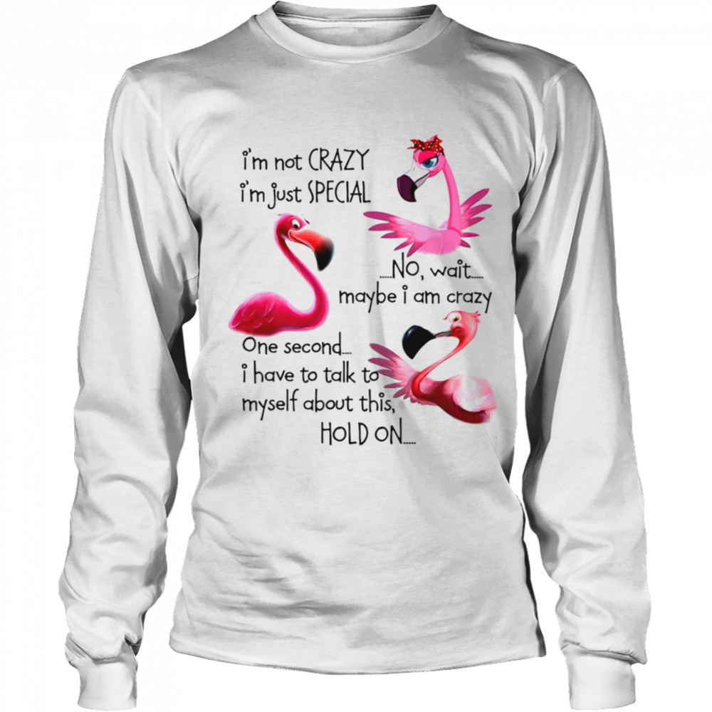 Long Sleeved shirt