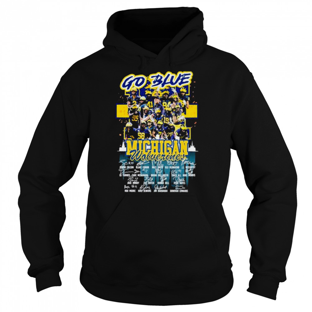Hoodie shirts